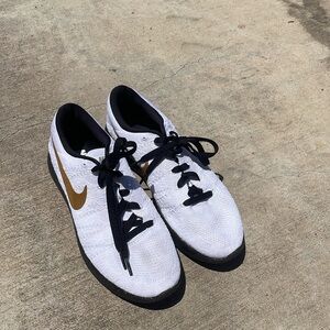 Custom Nike Women’s Lunardpic Flyknits